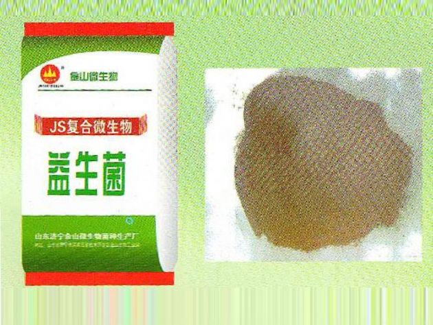 點(diǎn)擊查看詳細(xì)信息<br>標(biāo)題：益生菌 閱讀次數(shù)：1969